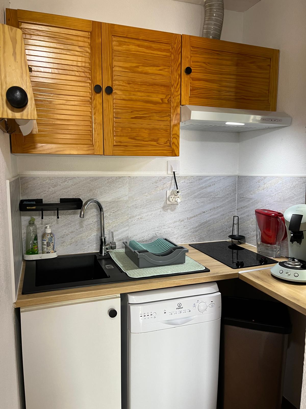Cuisine avec évier, plaques de cuisson et lave-vaisselle
